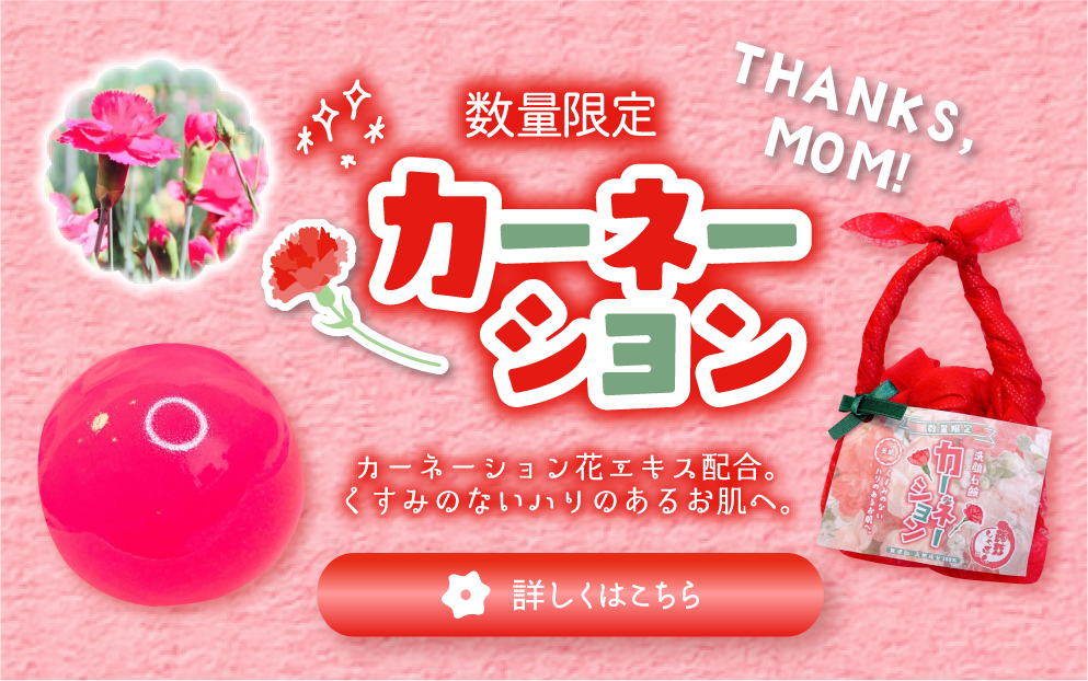 ●販売開始●数量限定 カーネーションしゃぼん